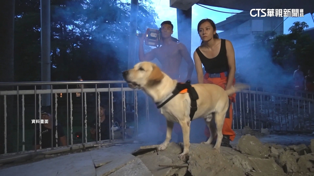 中市搜救犬「鐵雄」.「腿腿」退休　開放市民認養