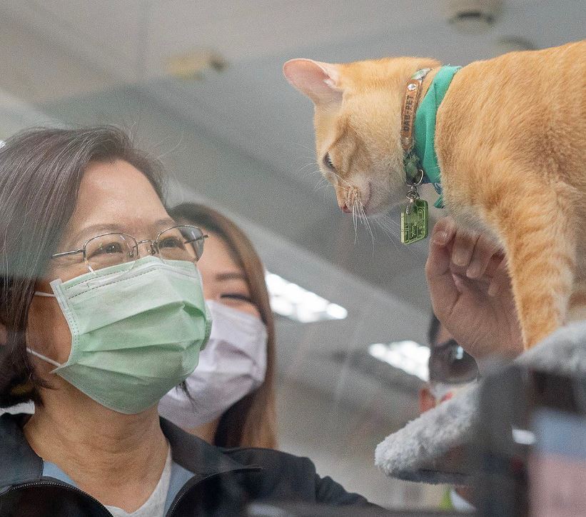 圖片翻攝自 蔡英文 IG