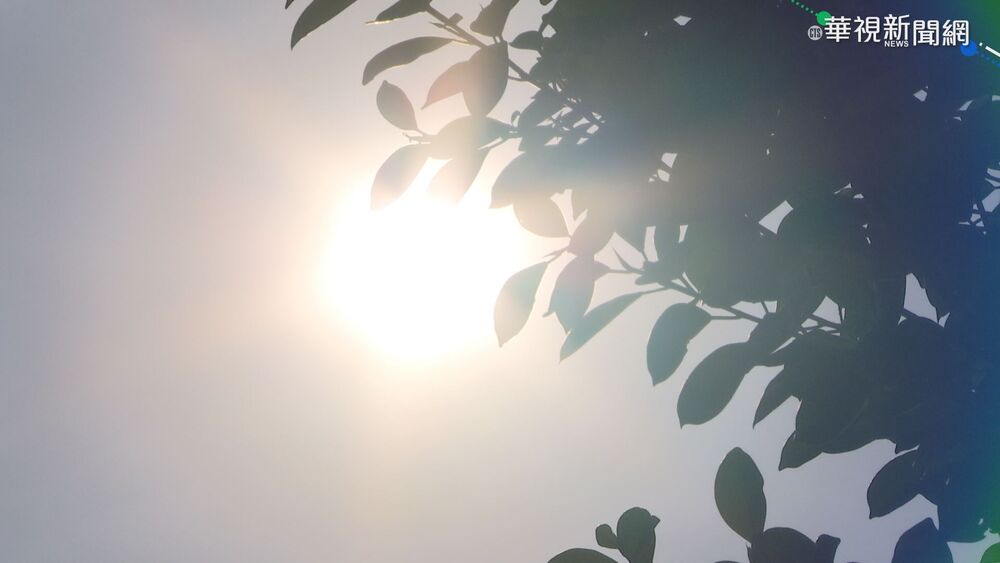 台灣變成烤番薯！雙北高溫炎熱恐飆至38度 「泰利」颱風最快今晚生成