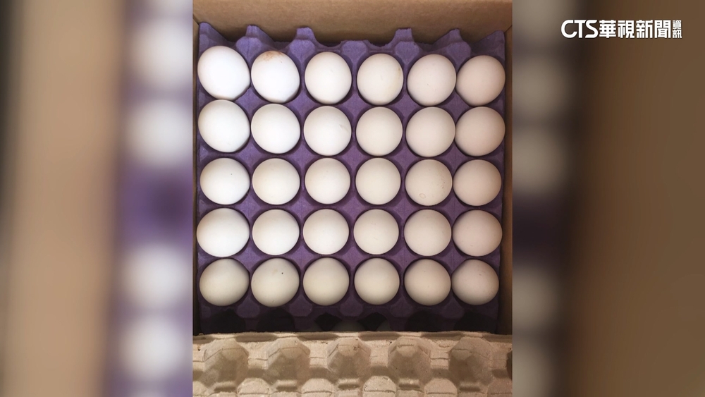 土耳其蛋檢出禁藥　畜產會擬求償數百萬