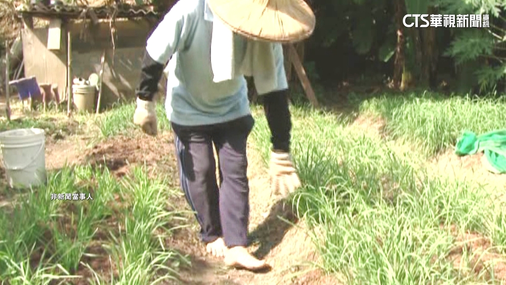 赤腳下田.溯溪　腹痛血便就醫發現染鉤蟲