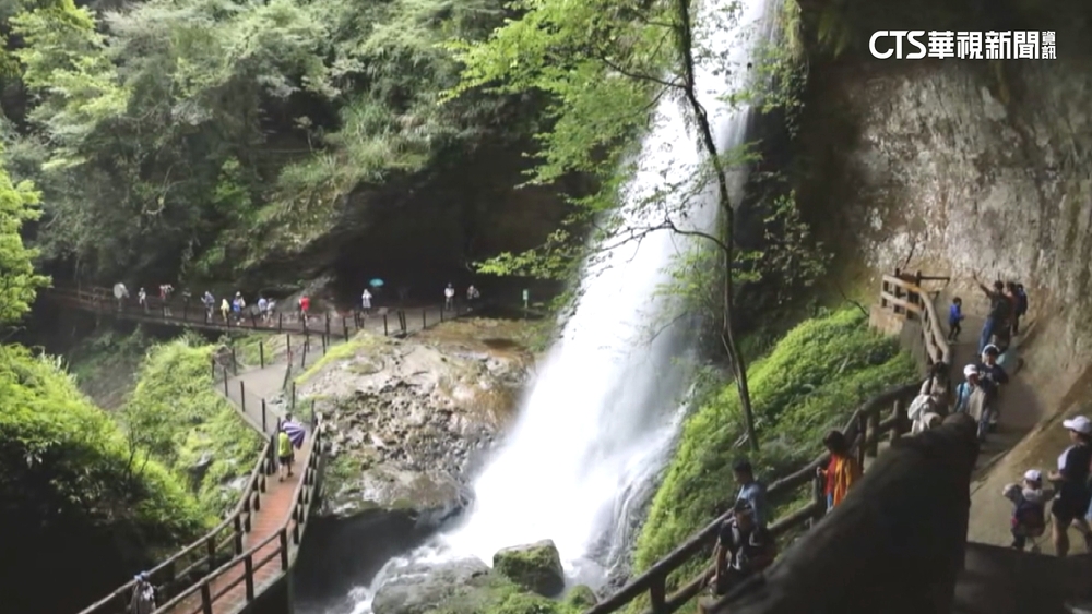 大雨後驚喜　杉林溪紋胸黑翅螢.瀑布負離子「爆量」