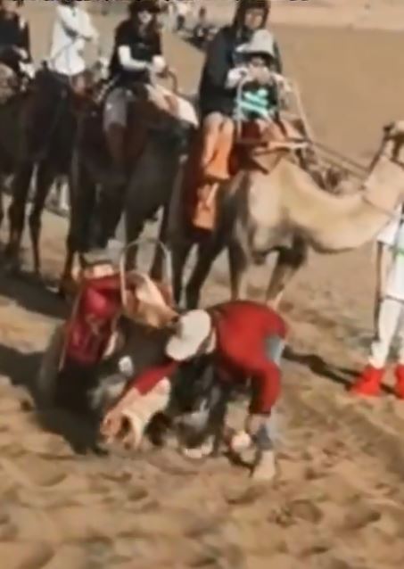 圖／翻攝自微博毛小星Ryan