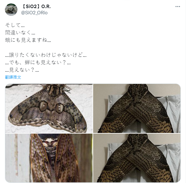 圖片翻攝自 @SiO2_ORio 推特