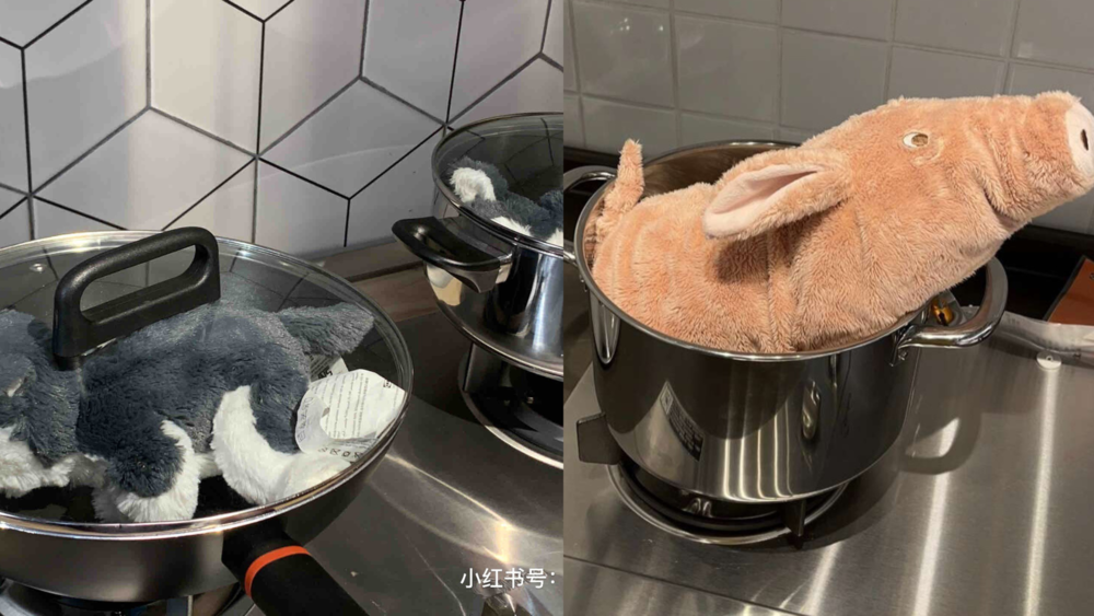 圖片翻攝自 小紅書