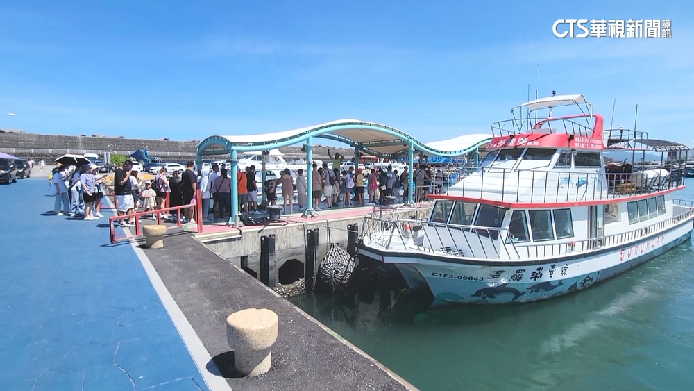 把握週末好天氣！　花蓮賞鯨船遊客多