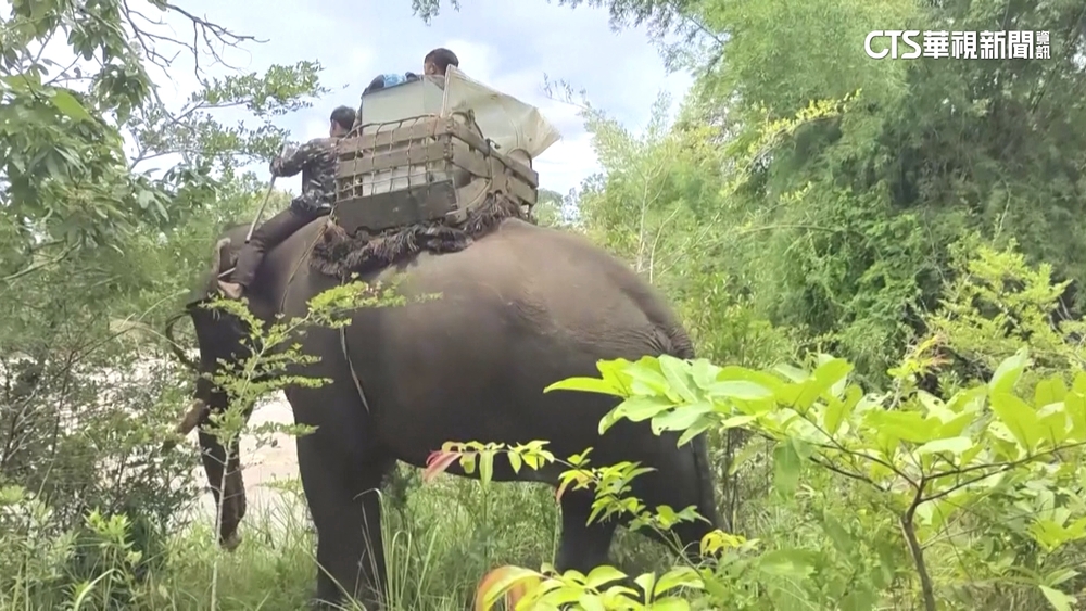 柬埔寨大選23日將登場　強人洪森料將連任