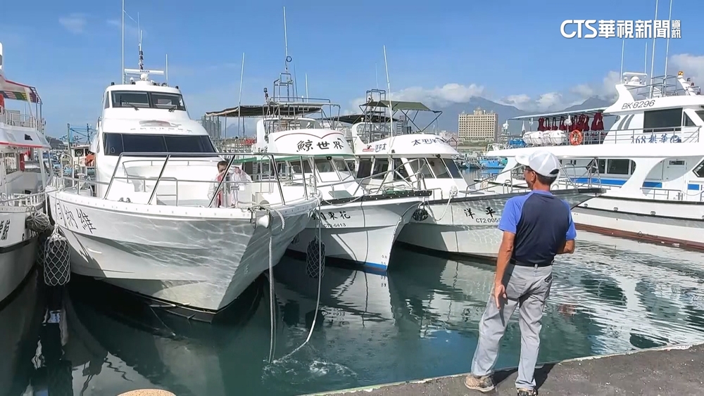 颱風前玩一波！　花蓮3米浪賞鯨變「海盜船」