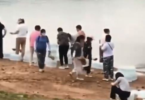 圖／翻攝自新浪新聞