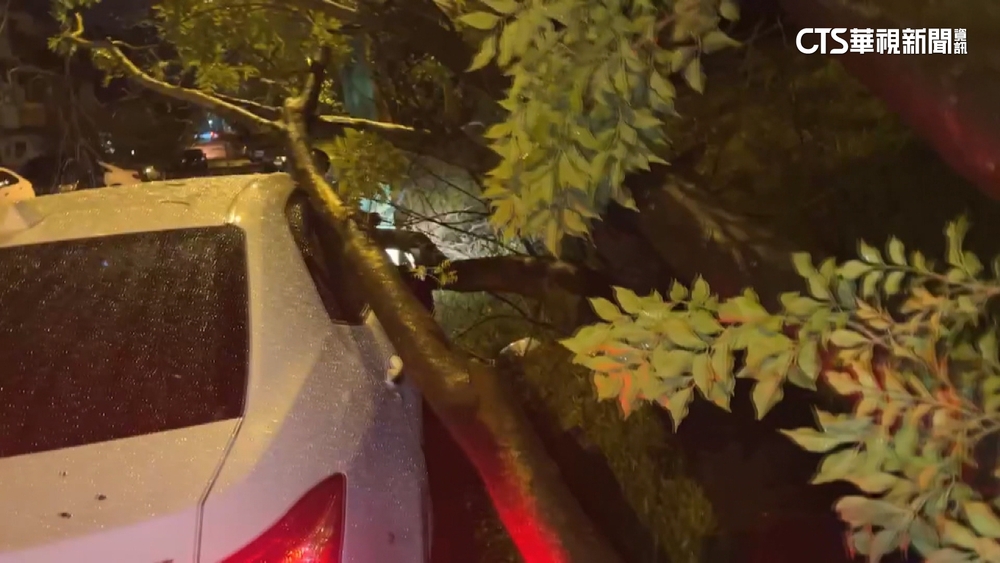 杜蘇芮外圍環流颳強風　宜蘭市區樹倒壓車