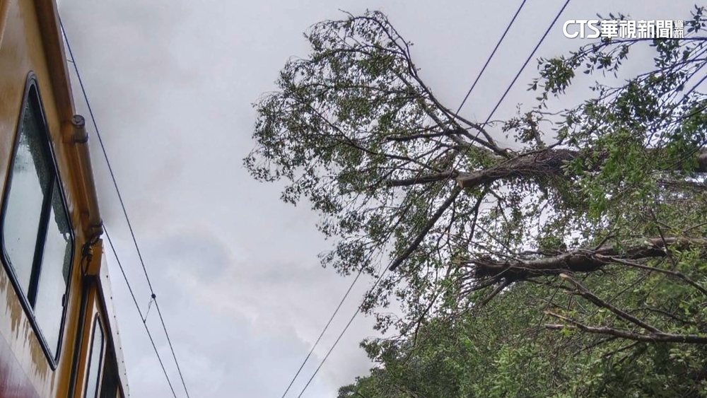 路樹倒塌！台鐵貢寮.福隆間一度單線雙向通車