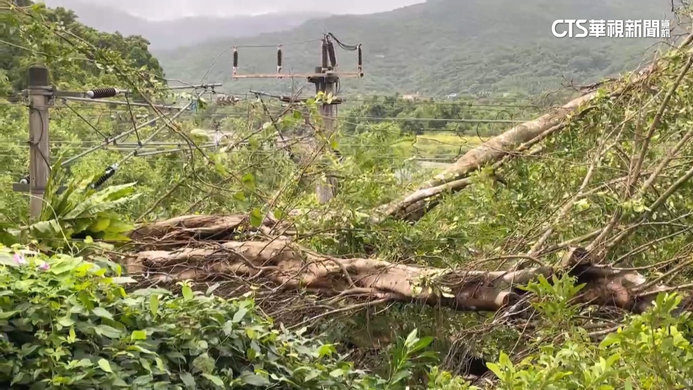 樹倒「壓電車線」　台鐵貢寮-福隆一度單線雙向行車