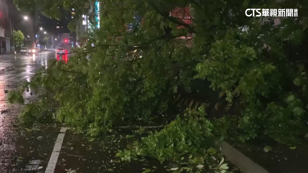 入夜後風雨增！高雄路樹倒整排　男騎士撞樹摔車