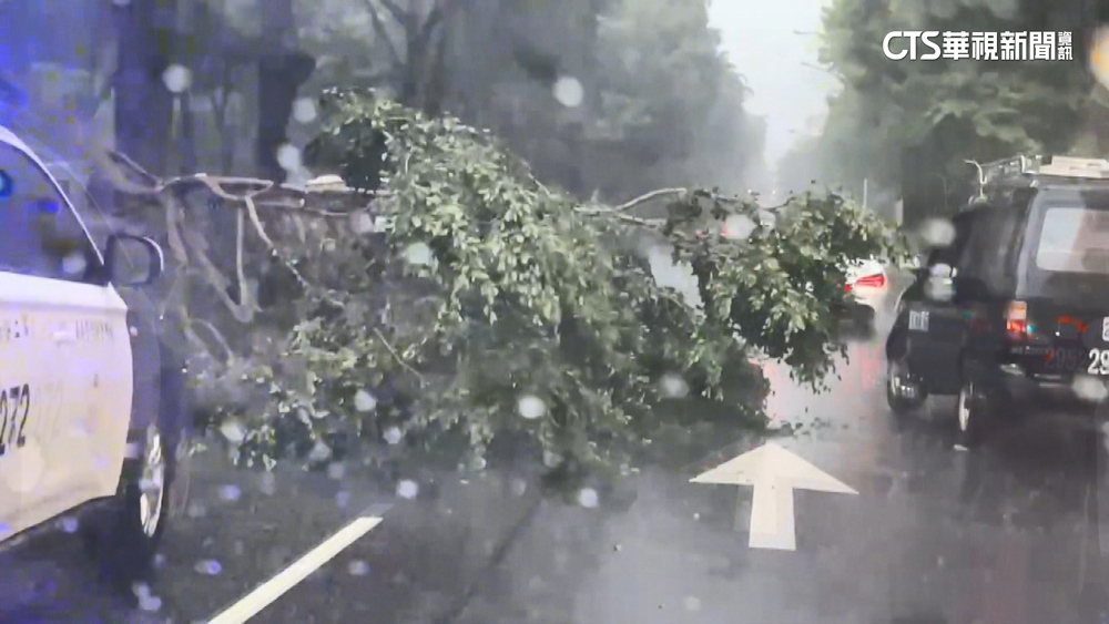 台中午後驟雨！　樹枝斷落險砸中經過車輛