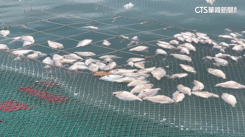 杜蘇芮重創澎湖！　房屋毀.道路10多處塌陷