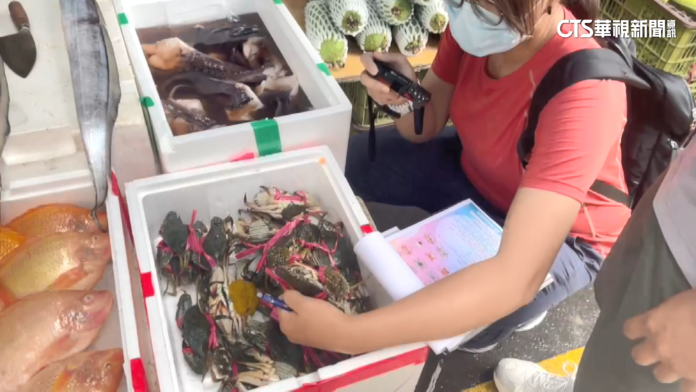 禁賣抱卵母蟹上路！　突襲華成市場　逮2攤偷賣28隻