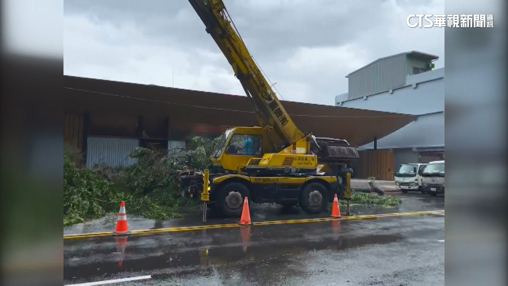 強風襲雙北　24樓工地鷹架吹倒！路樹倒擋車道