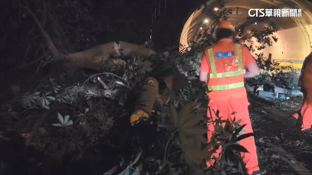 「卡努」外圍環流強　大台北多處出現樹倒災情