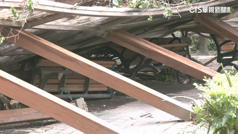 強風襲！福德隧道出口大樹倒擋車道　國1北上回堵