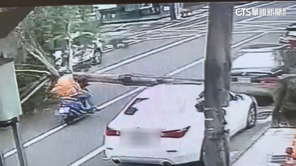 大風吹！　台南樹倒砸騎士　高雄.屏東鷹架倒塌