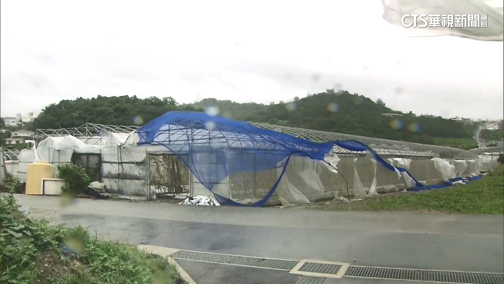 卡努衝擊沖繩航班！　民眾崩潰：員旅「3天變10天」