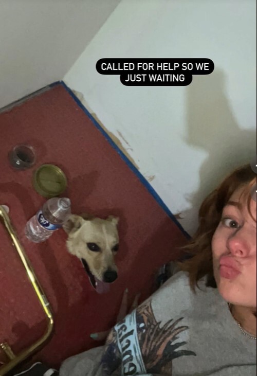 Kyndal與狗狗一起等待救援。（圖/翻攝自TikTok @kyndal_bret）