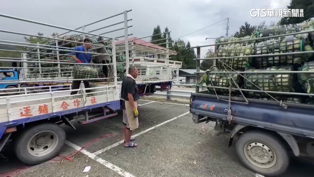 道路搶通！　農民全家出動送菜　帶孩子坐車斗吃飯