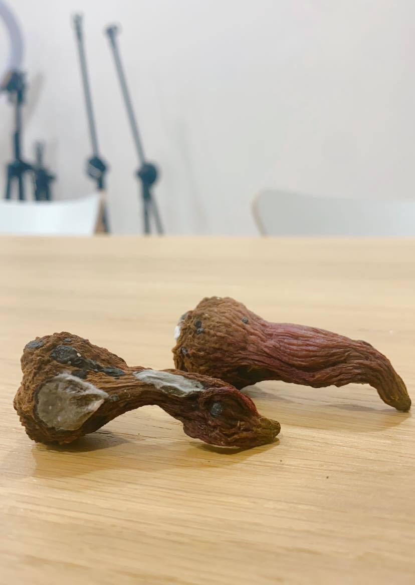 蓮霧放辦公室冰箱一個月會怎樣？ 眾網笑說：特級咒物吞下去！