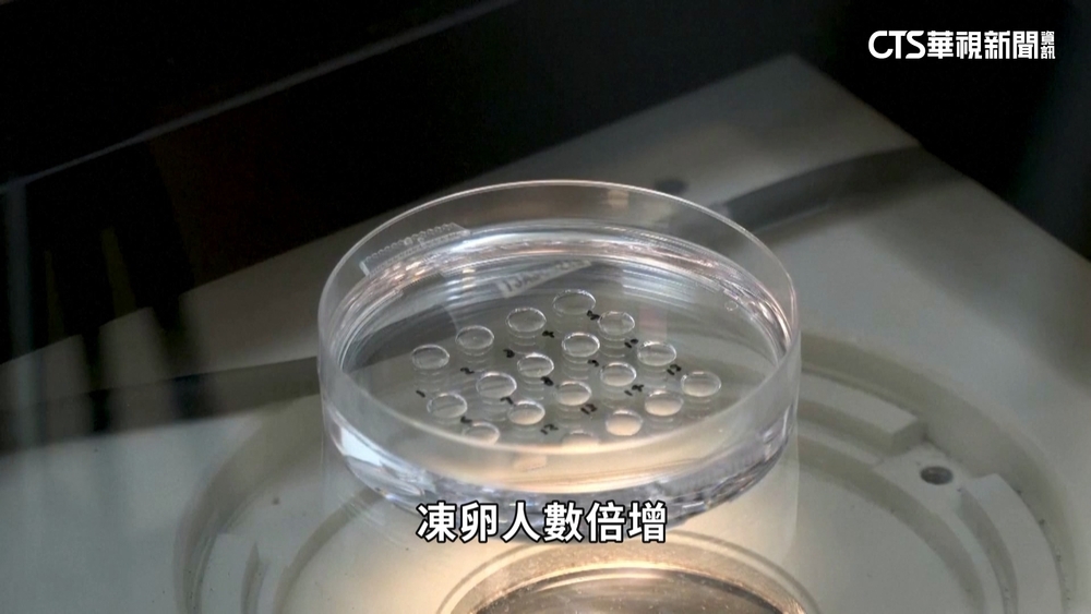 台灣凍卵族增加　人工生殖法限「異性夫妻」