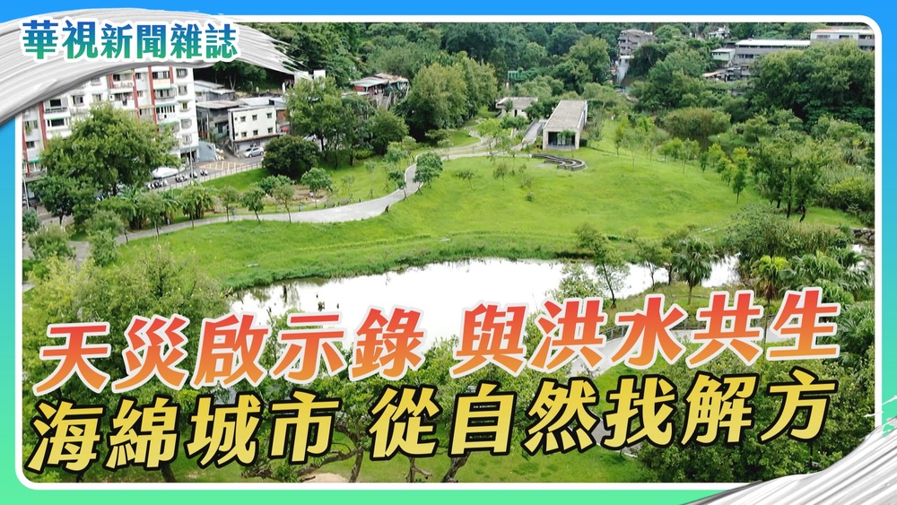 【卡努颱風】與洪水共生 海綿城市 從自然找解方｜華視新聞雜誌