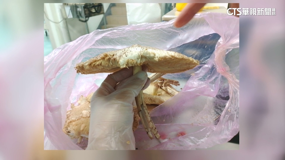 捕獲「繡花脊熟若蟹」　1隻可毒死5百人.4萬5千隻老鼠