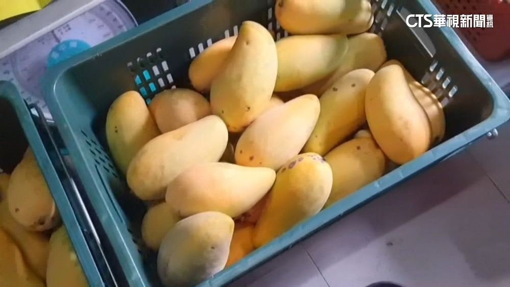 芒果收購價1斤6元？　高市府闢謠：平均40.4元