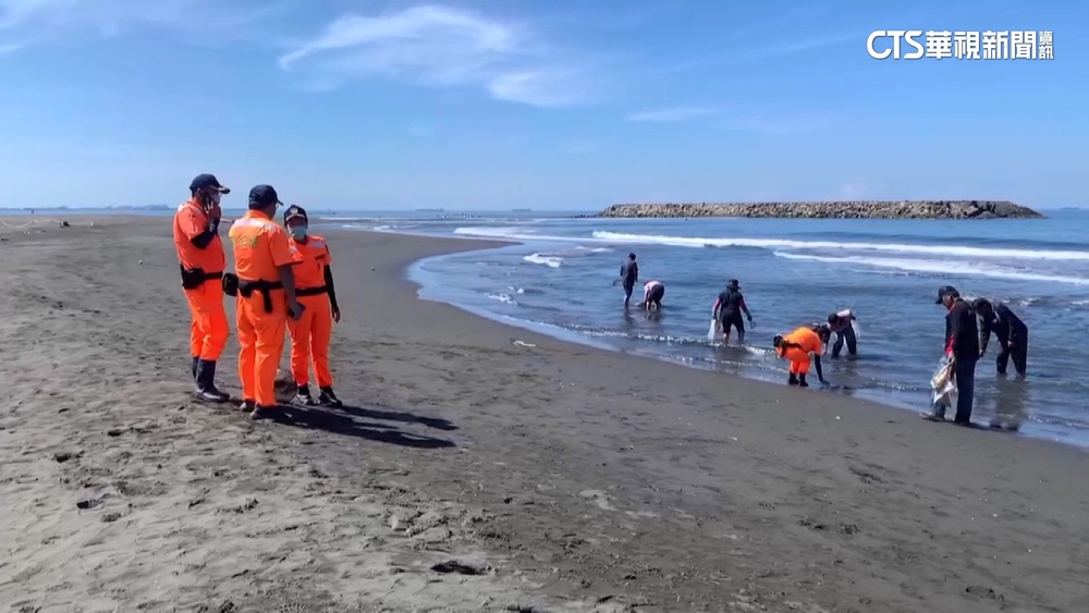 油污侵旗津海水浴場　遊客「染黑」　高市府挨轟