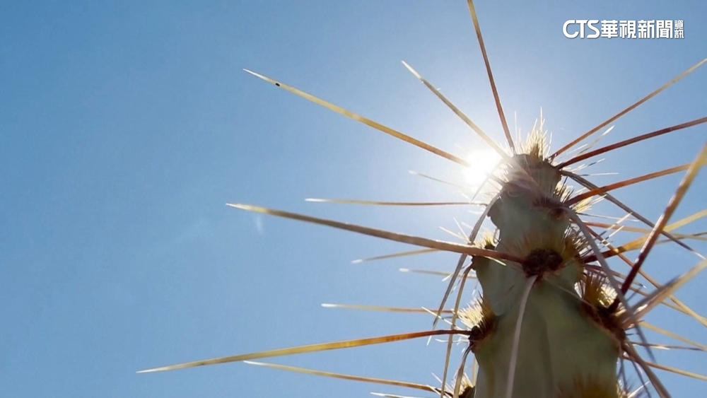 夏末熱浪再襲　美國鳳凰城高溫飆攝氏46.6度
