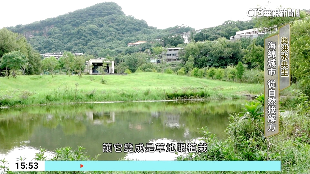 與洪水共生！　「海綿城市」可從自然找到解方