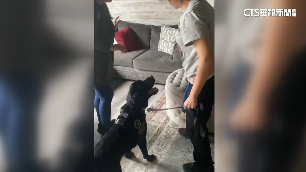 全台第一隻！　電子偵測犬能聞到河中手機