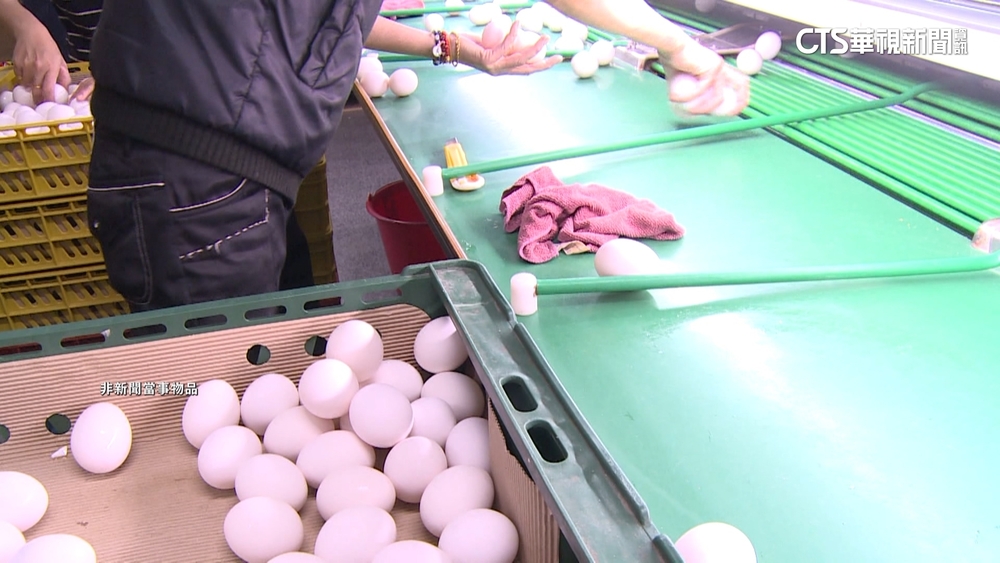 巴西為重要輸出國！　農業部：專案進口穩定國內蛋需求