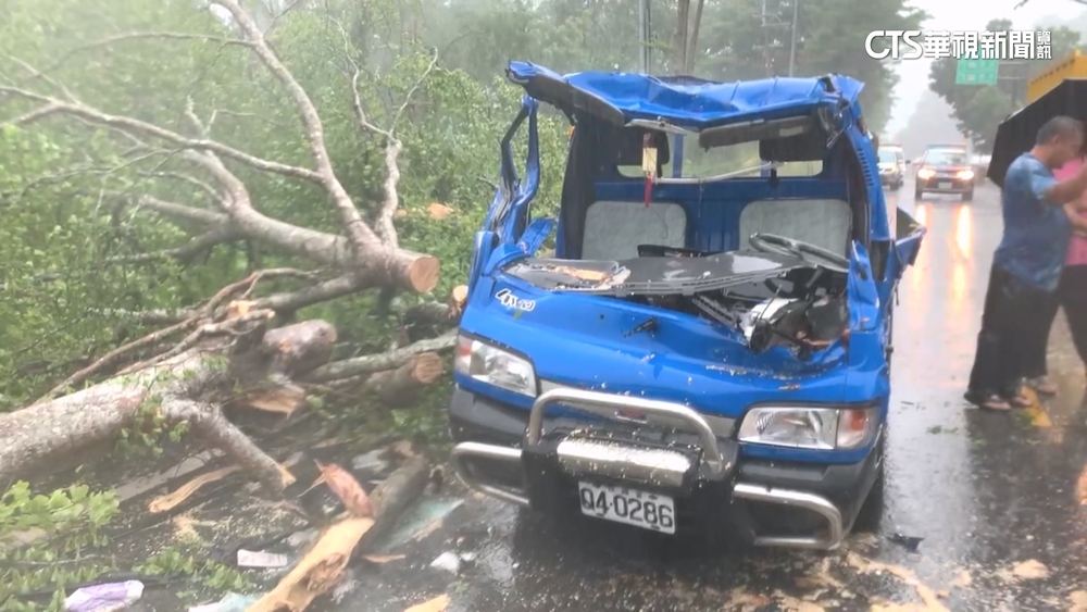 花蓮省道台30線樹倒　驚砸小貨車父子受傷！