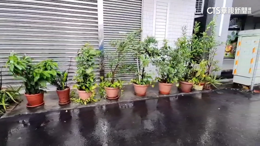 宜蘭豪大雨仍上班課　林姿妙臉書遭灌爆