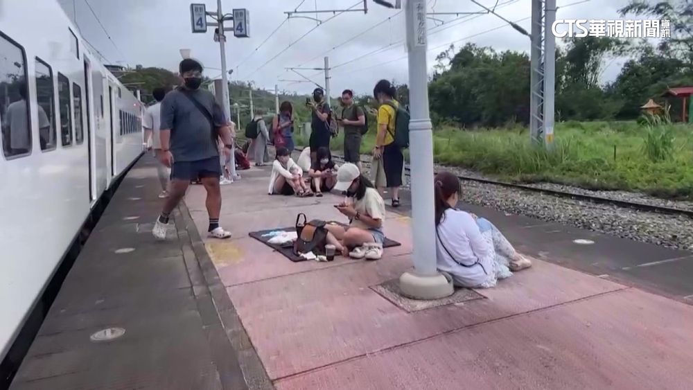 樹枝卡集電弓　台鐵花東北上班次停駛　晚間7點車來了！