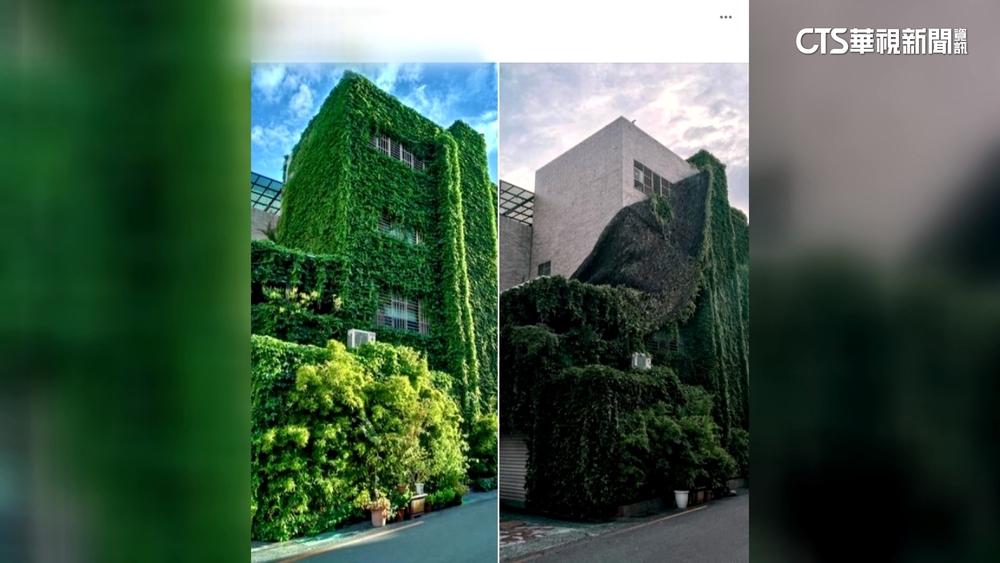 台南隱藏版打卡景點「草皮屋」 海葵過後「脫皮了」