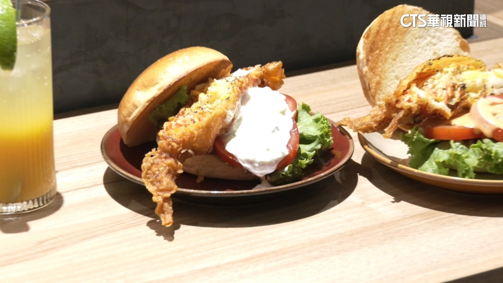 龍蝦堡之戰開打！　MIT「軟殼龍蝦」整尾都能吃