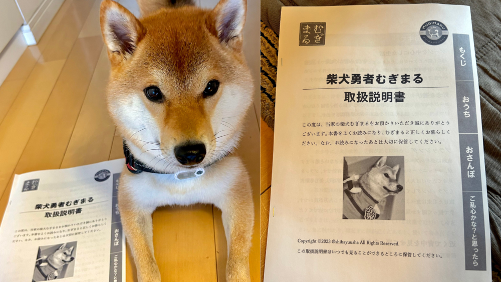 出遠門附「柴柴+操作說明書」給父母　回家後「柴柴直接變心」 網羨慕：想買一本