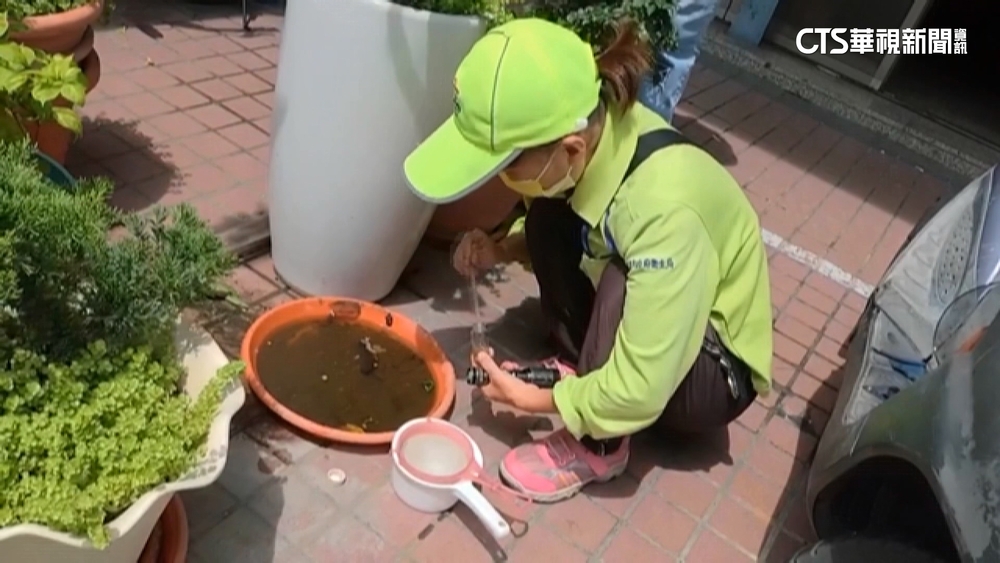 雨天查花盆積水？　民怨開罰無理　高衛局：有孑孓