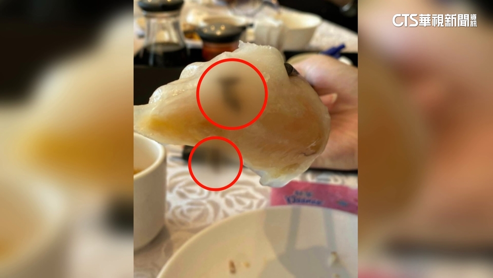 吃港式飲茶成「蟑螂大餐」　顧客怒批：店家冷處理