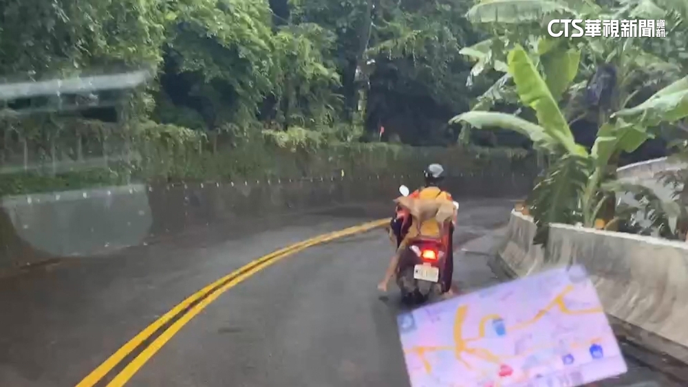 危險！載狗三貼「站後座」　婦涉虐狗恐挨罰1萬5