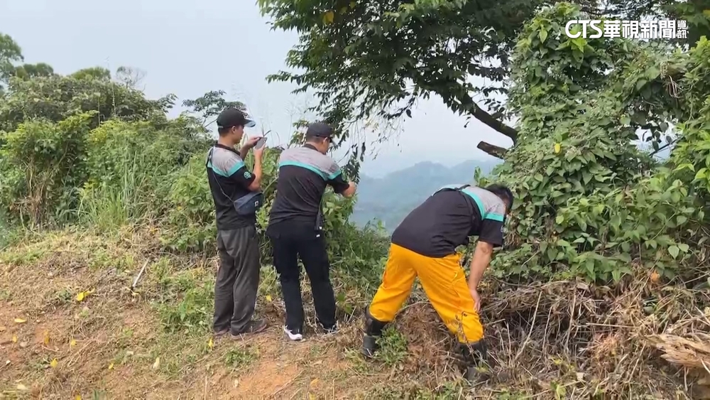 南投3採茶移工躲警追緝　2人墜70米深谷重傷