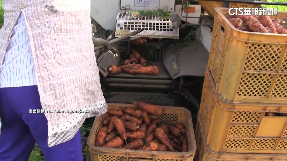 祭逾6萬薪搶才！　台積電熊本菊陽設廠帶動商機