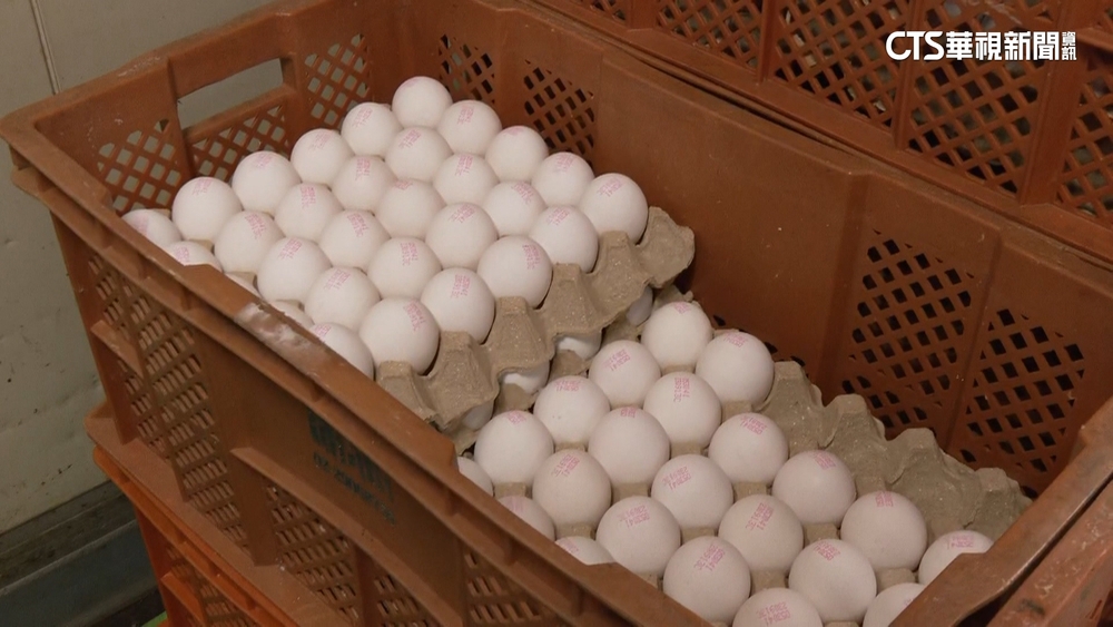 新北福商勝「混蛋」流向北市補習班　900童吃下肚