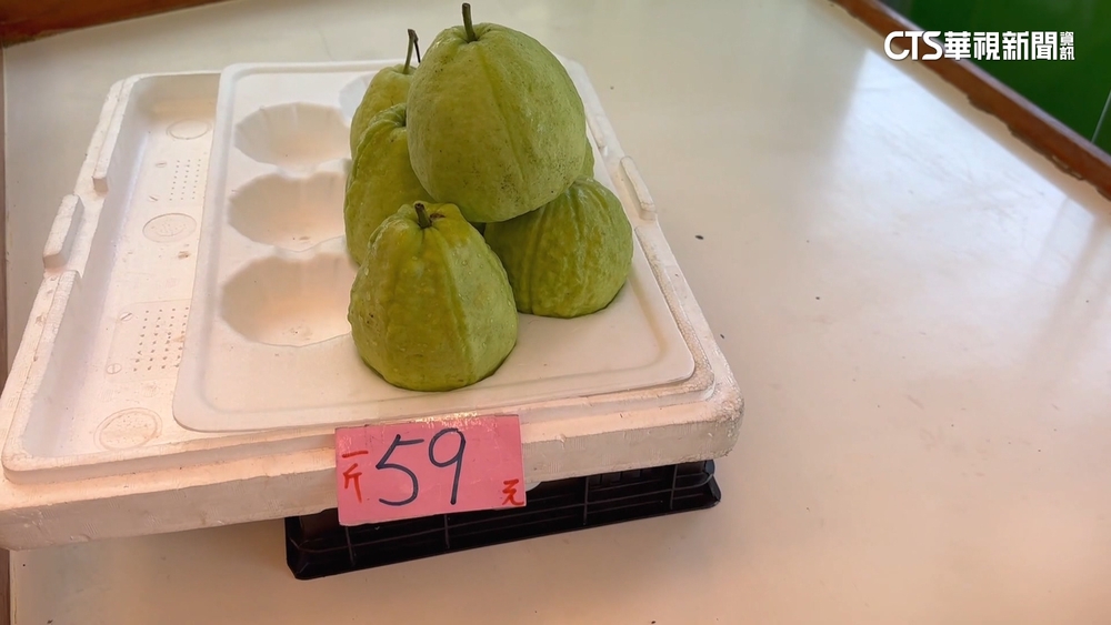 大雨釀芭樂落果多！　45天價飆3倍　市場3顆賣78元